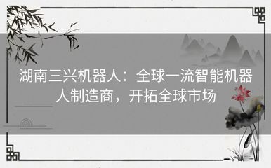 湖南三兴机器人:全球一流智能机器人制造商,开拓全球市场